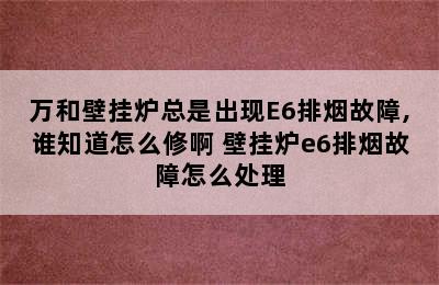 万和壁挂炉总是出现E6排烟故障,谁知道怎么修啊 壁挂炉e6排烟故障怎么处理